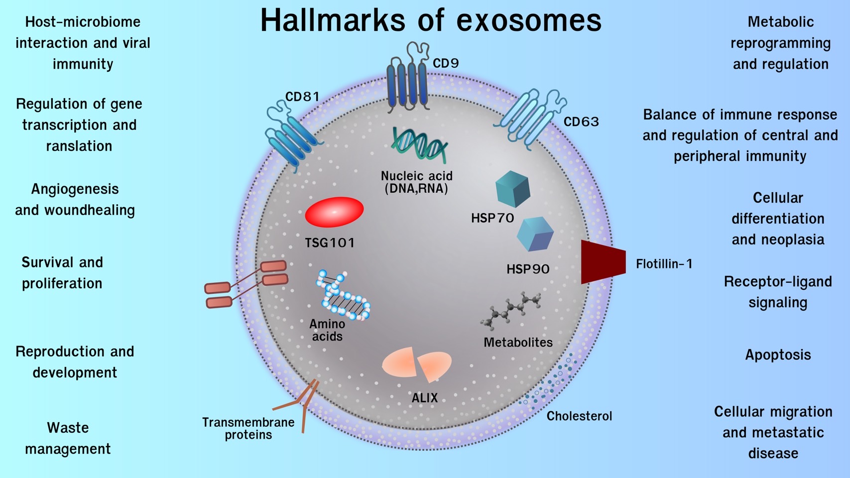 Exosome เชียงใหม่